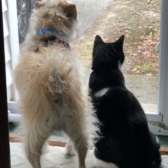 Meet your Posher, Lyn Richards Pawlowski - Picture 11 of 15